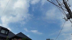 o0800045013422710571